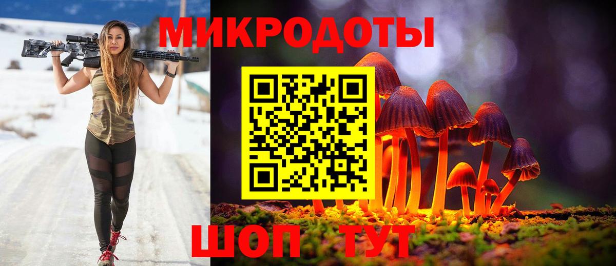 Саров  Галлюциногенные грибы Cubensis  Вход с VPN 